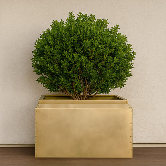 rectangular brass planter with a small tree on a patio