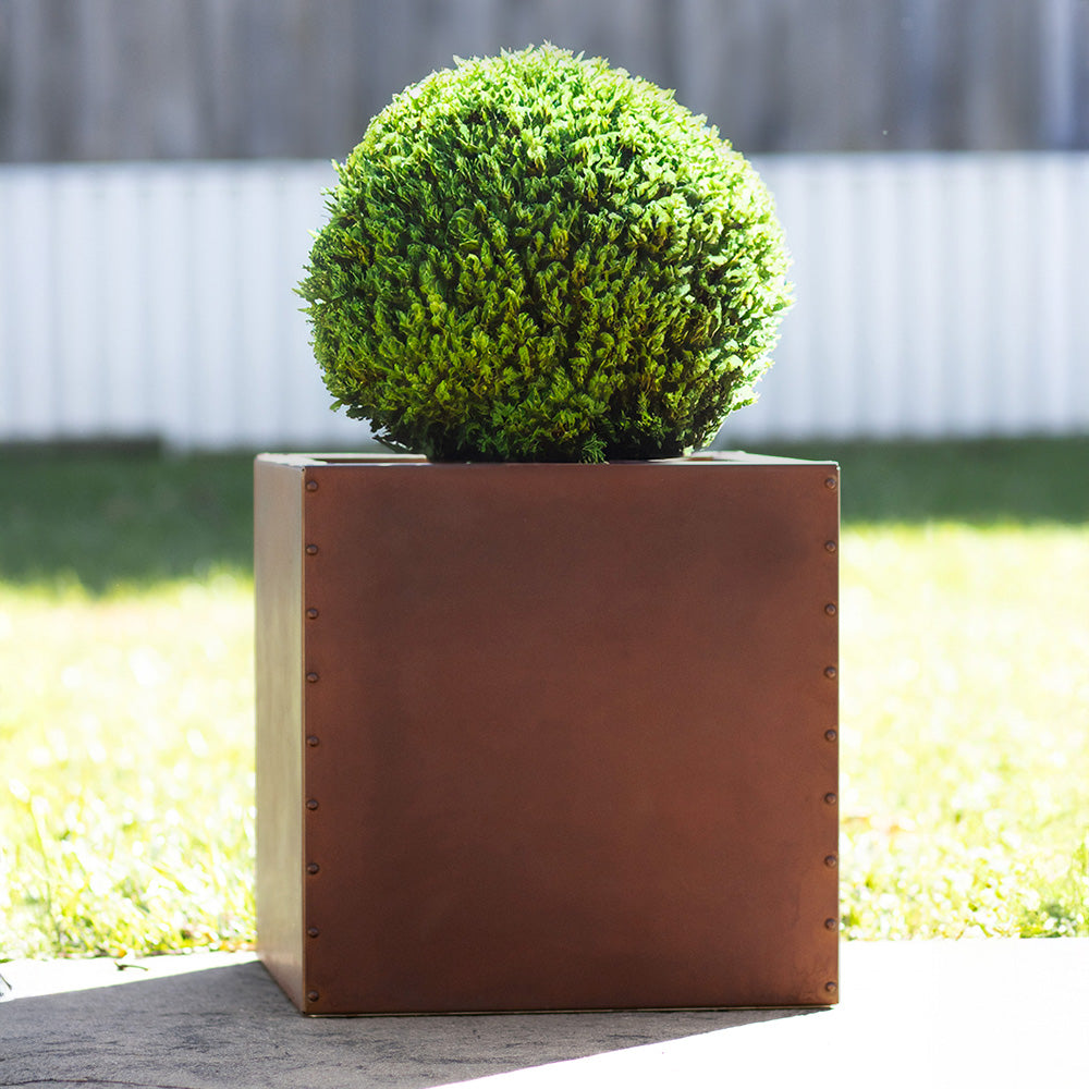 Square metal planter with a green spherical topiary on grass