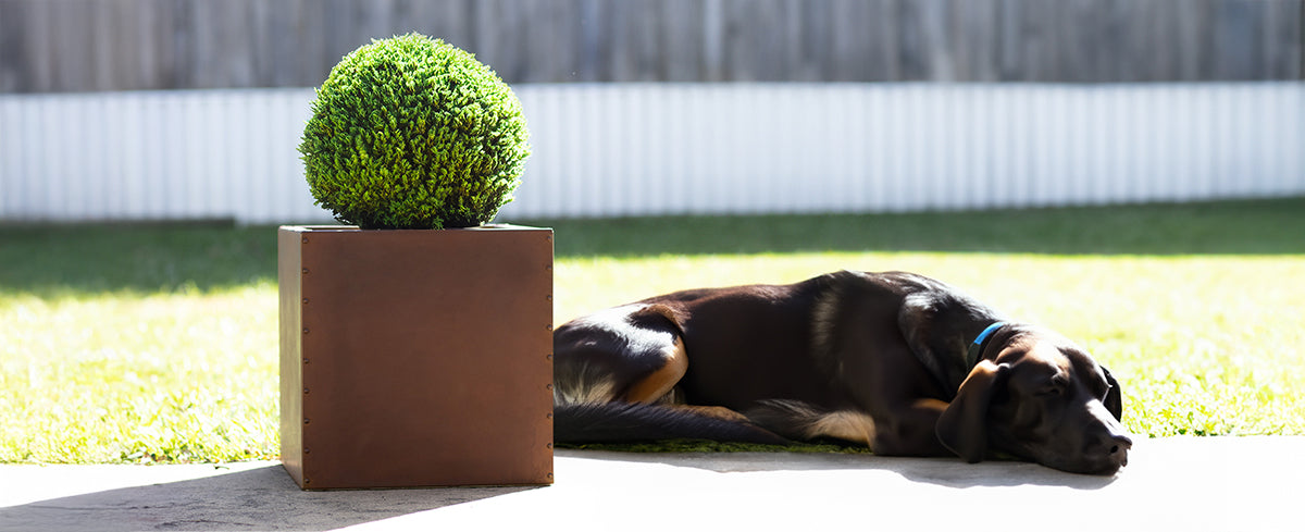 rusted steel planter on a peaceful patio