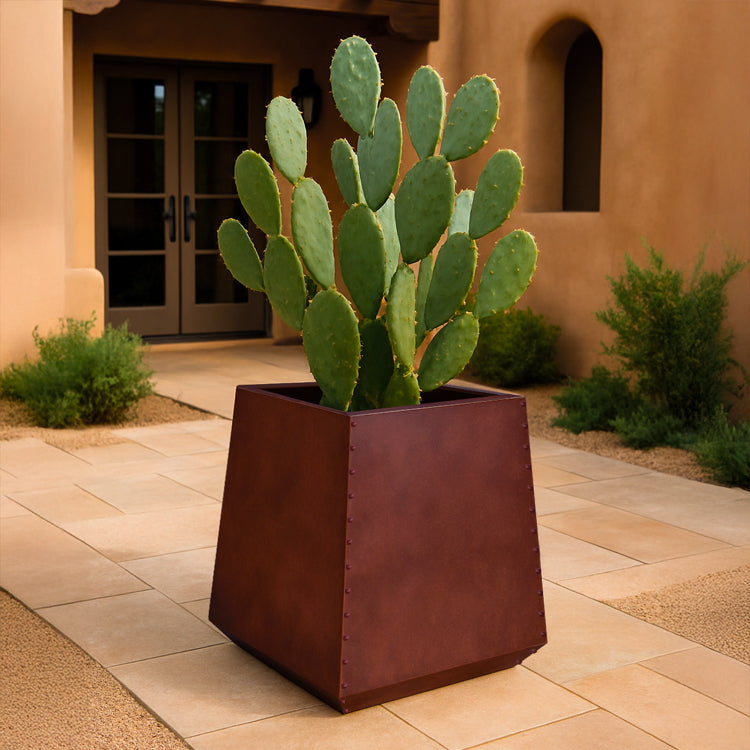 rusted steel outdoor metal planter with cactus